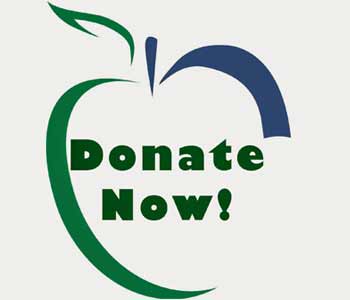 NGO in India